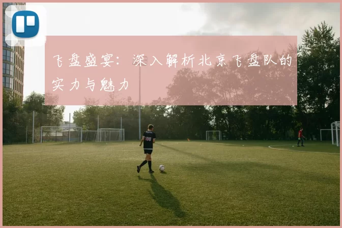 飞盘盛宴：深入解析北京飞盘队的实力与魅力