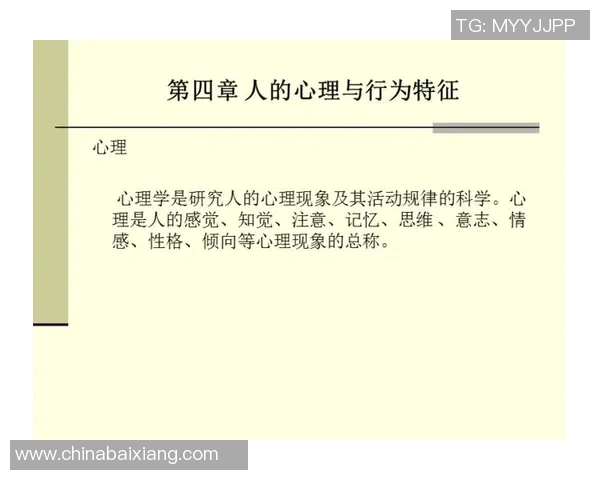 成都篮球队心理素质排名第八揭示球队背后的心理训练与成长之路
